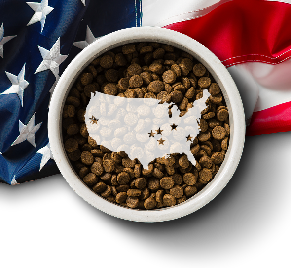 Overhead view of white bowl with kibble with a map of the United States with an American flag underneath the bowl.