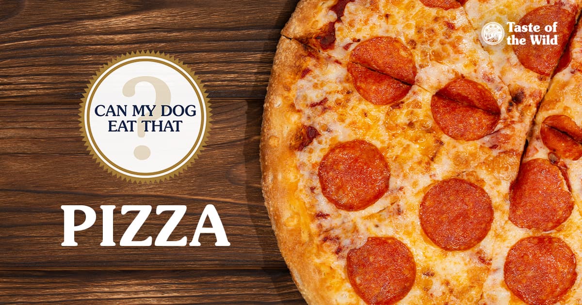 A close-up of a freshly baked pepperoni pizza sitting on a wooden table.