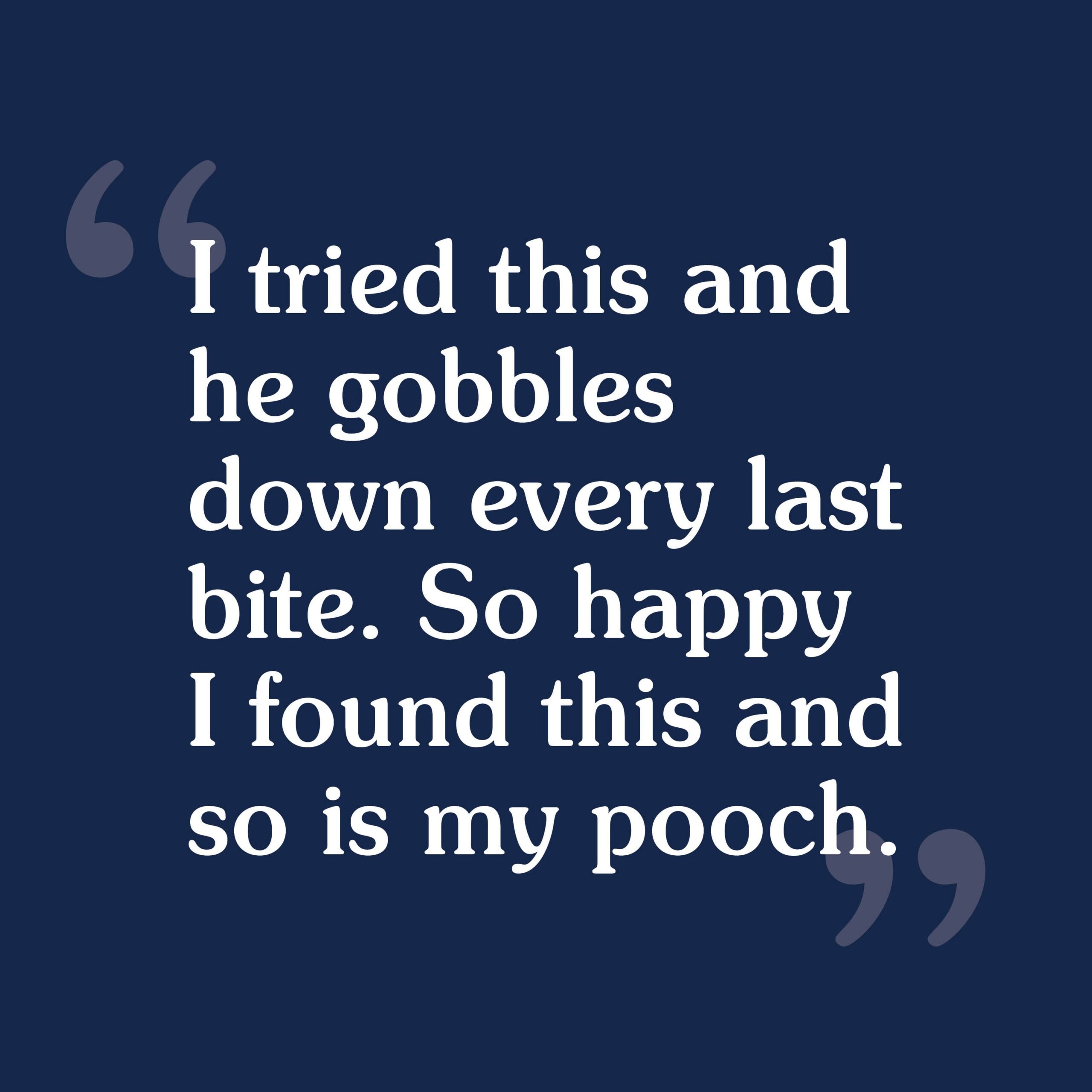 A customer review that reads, 'I tried this and he gobbles down every last bite. So happy I found this and so is my pooch'.