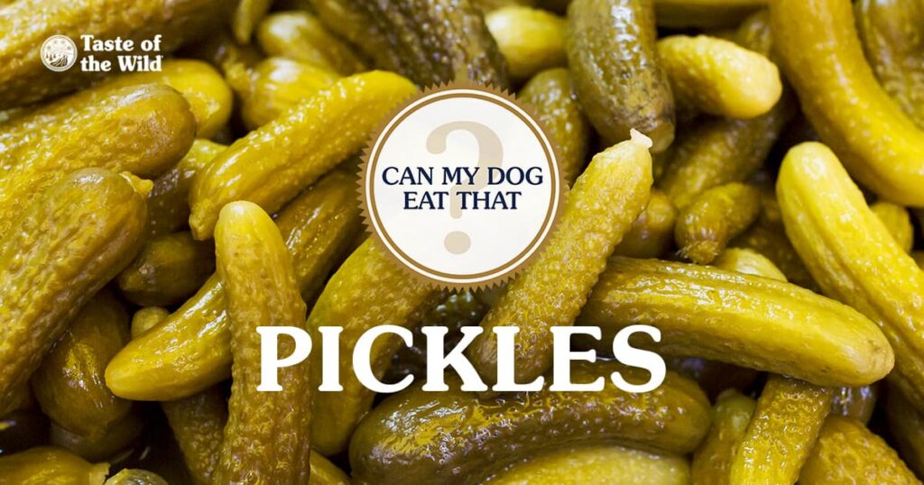 A close-up of a pile of fresh green dill pickles.