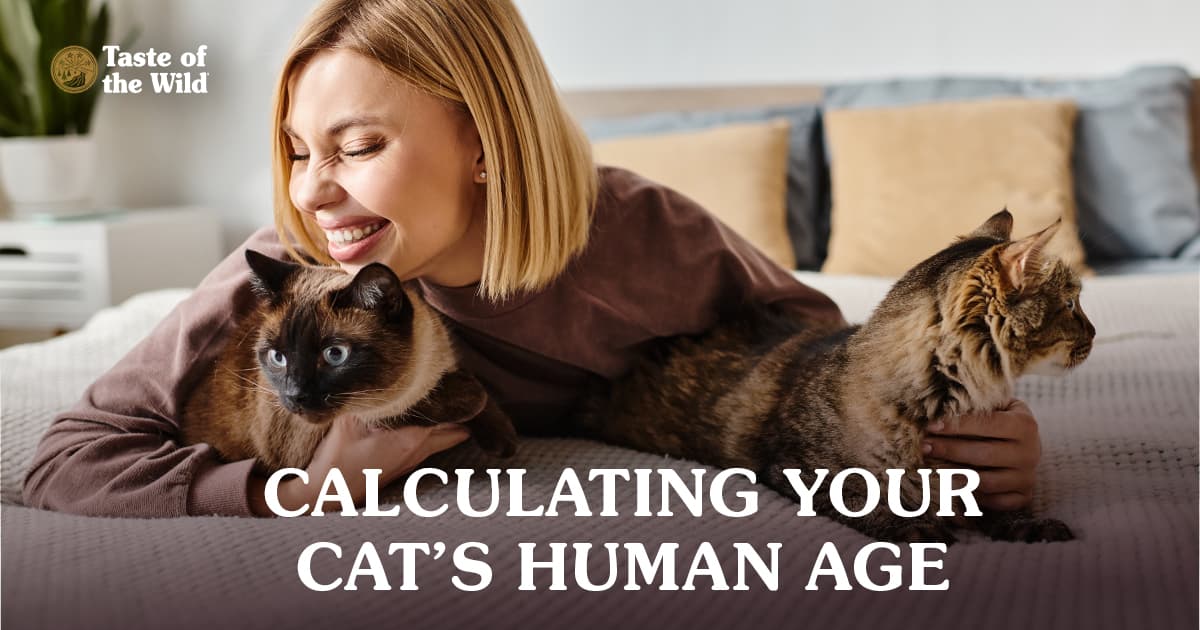 A young woman lying on a bed smiling while gently cradling two black and tan tabby cats.