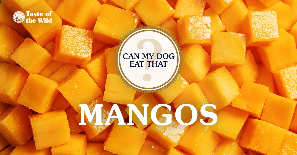 A close-up of a pile of freshly diced yellow mango cubes.