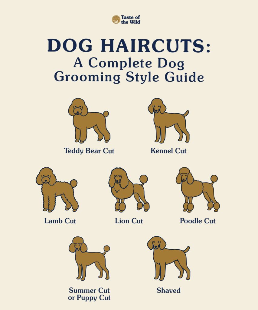 An infographic showing 7 different dog haircut styles.