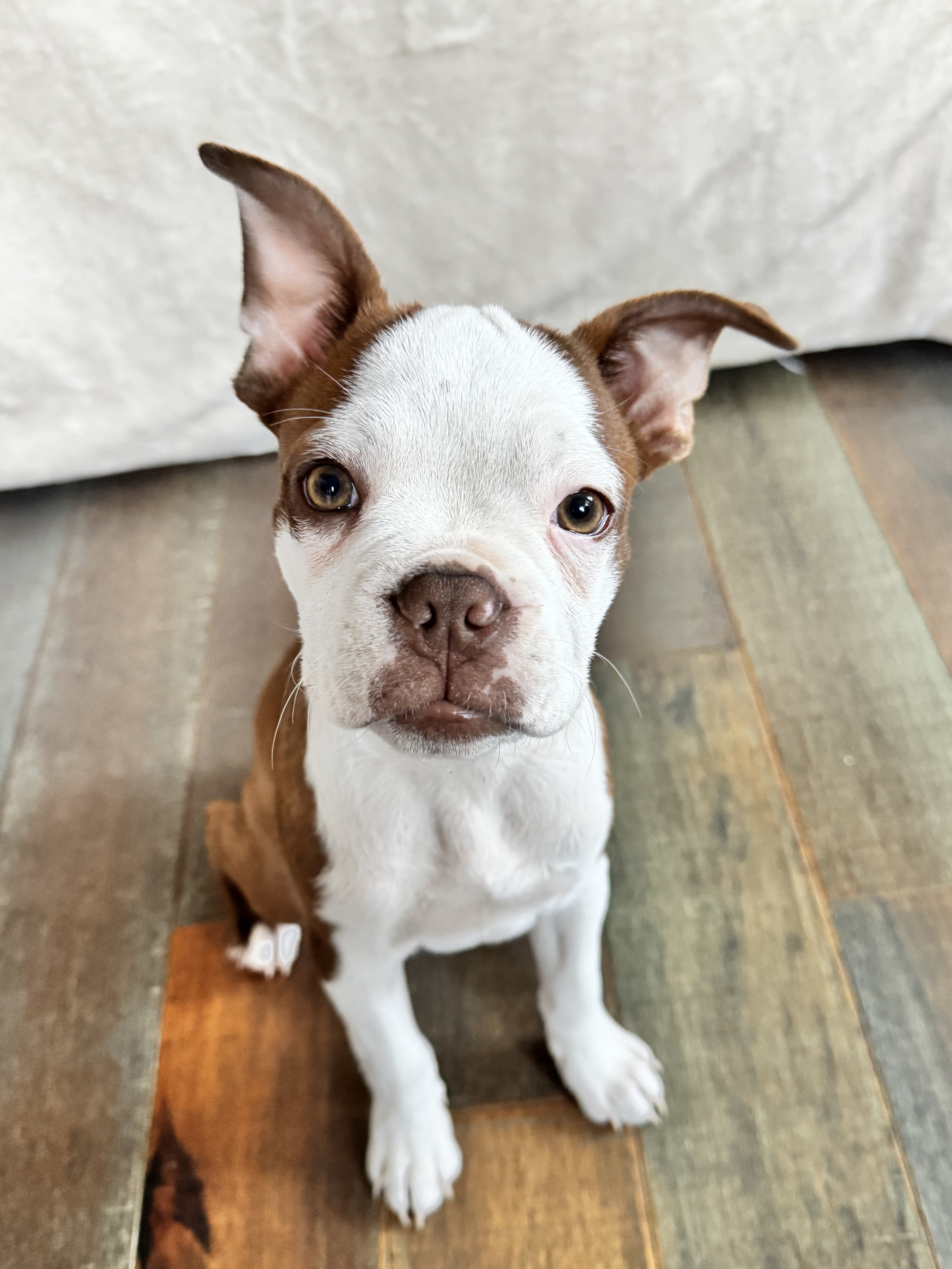 Benny