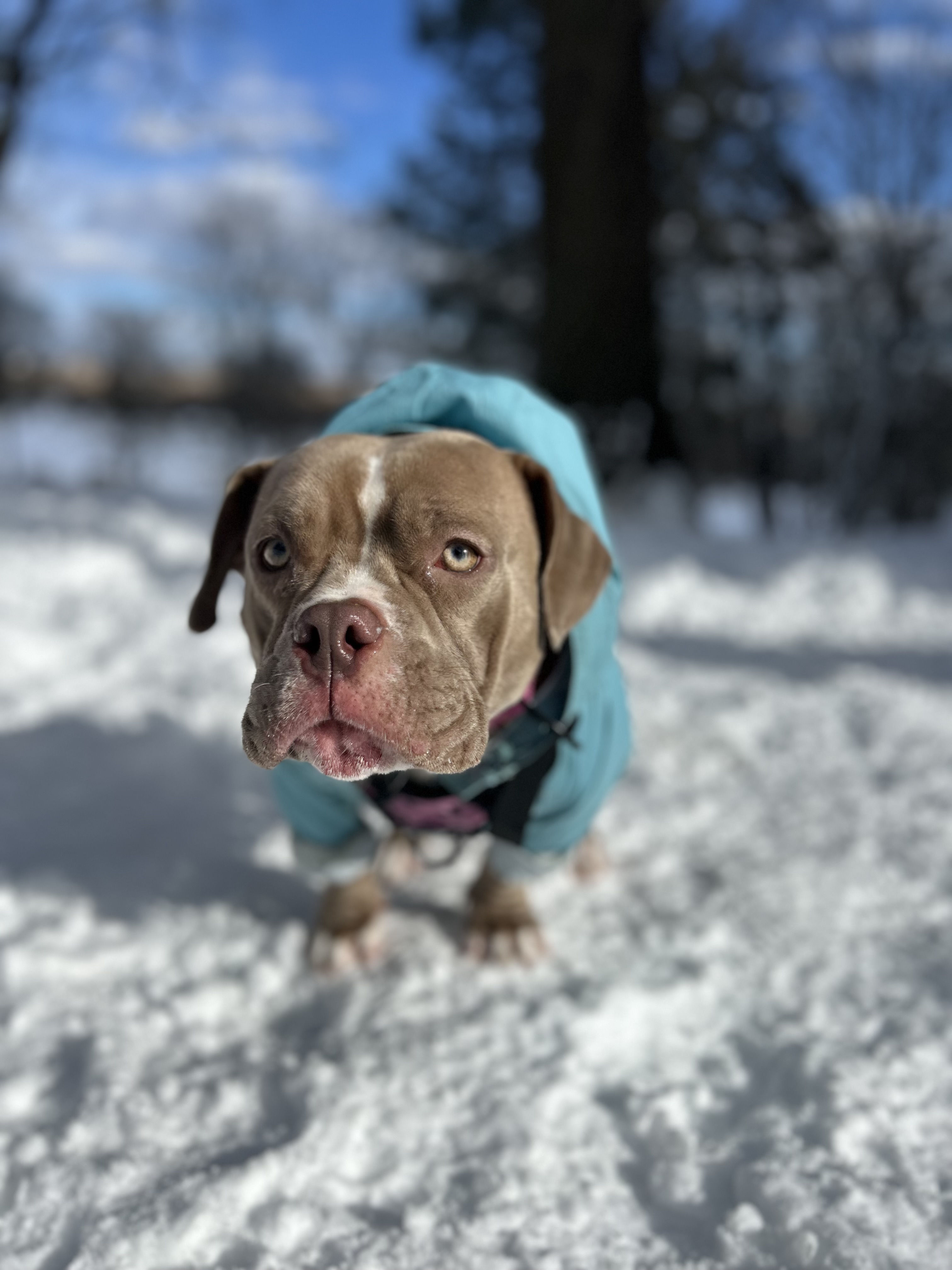 Ruby