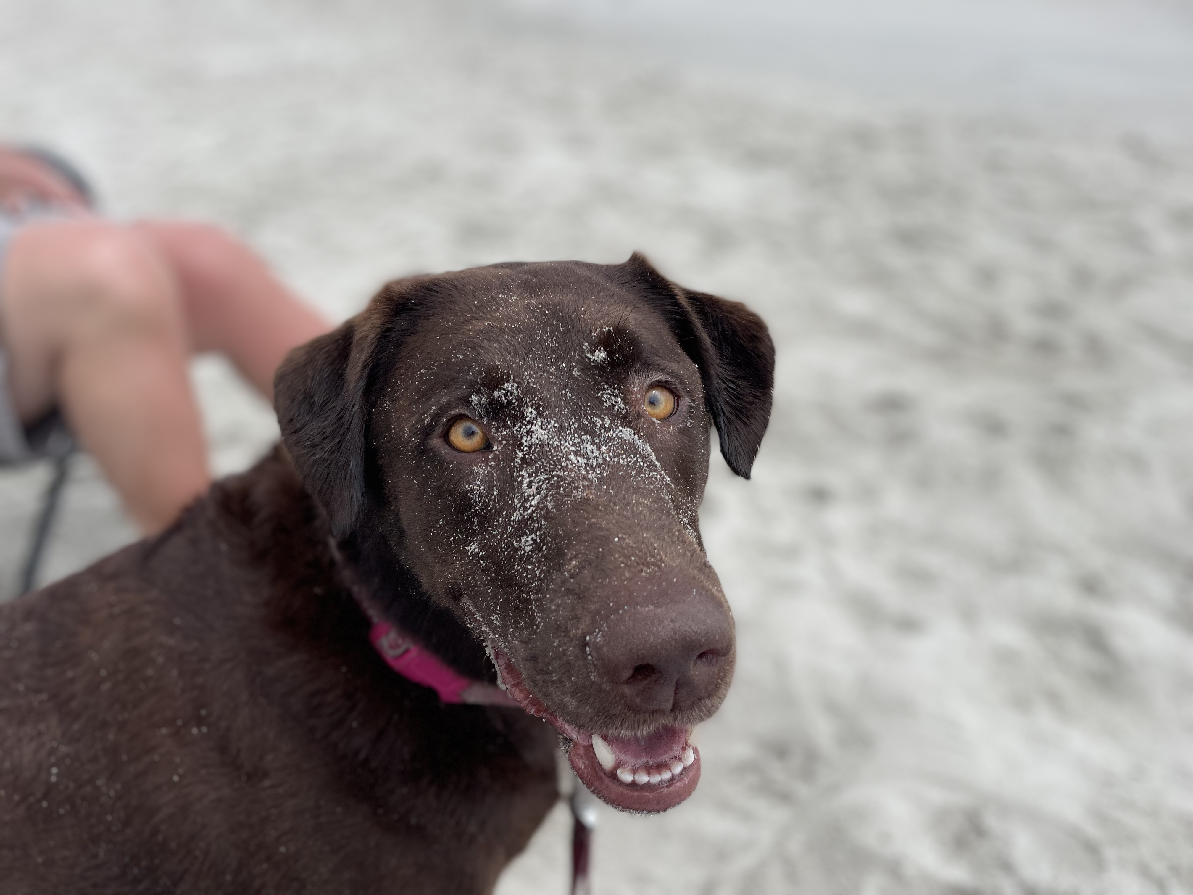 Oakley
