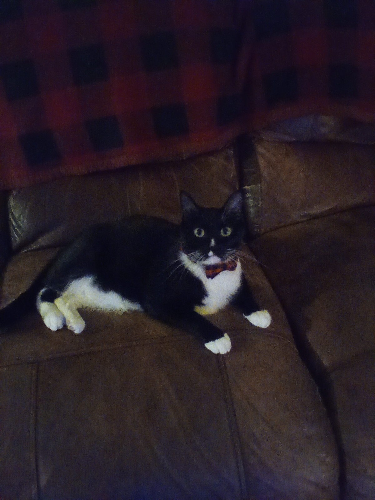Salem